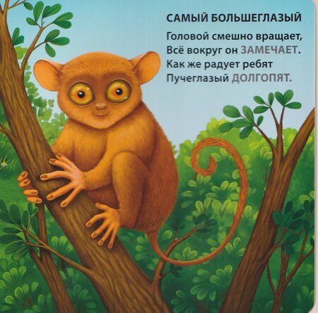 Фотография книги "Евгений Анатольевич: Самые-самые животные. Загадки-рифмы"