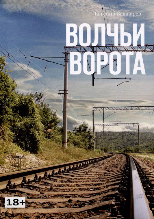 Обложка книги "Евгений Башкарев: Волчьи ворота"