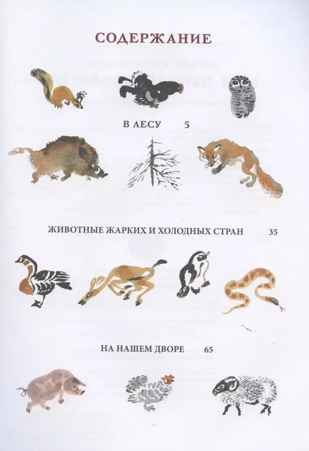 Фотография книги "Евгений Чарушин: Моя первая зоология"