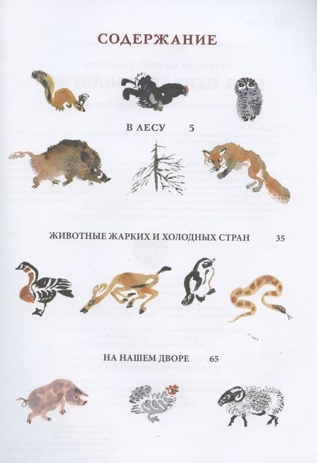 Фотография книги "Евгений Чарушин: Моя первая зоология"