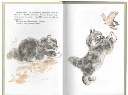 Фотография книги "Евгений Чарушин: Тюпа, Томка и сорока"