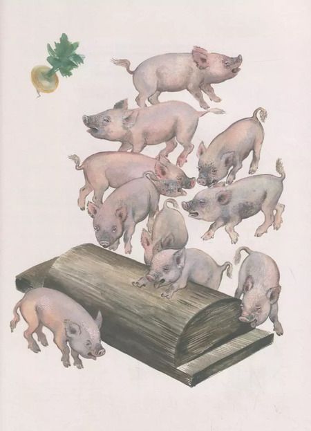 Фотография книги "Евгений Чарушин: Вот они какие"