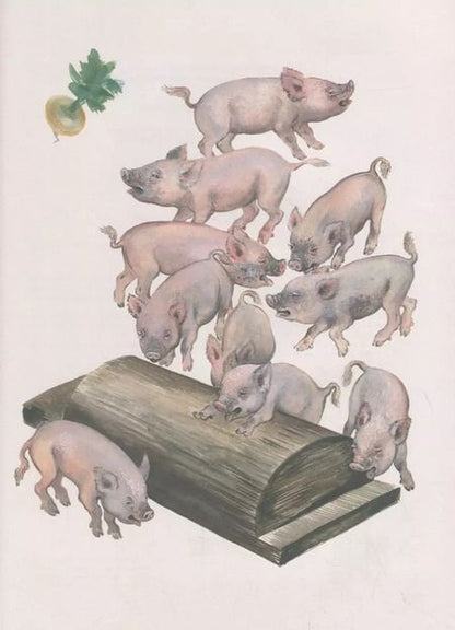 Фотография книги "Евгений Чарушин: Вот они какие"