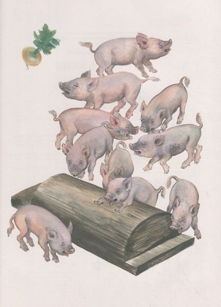 Фотография книги "Евгений Чарушин: Вот они какие"