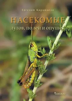 Обложка книги "Евгений Кирцидели: Насекомые лугов, полей и опушек"