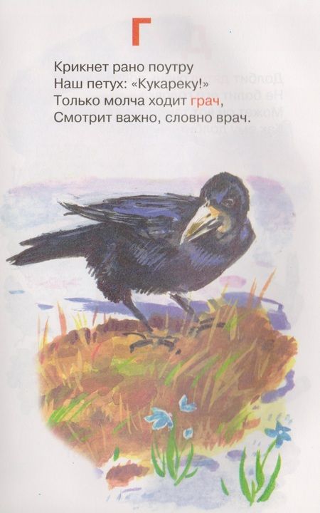 Фотография книги "Евгений Кузьмин: Азбука"