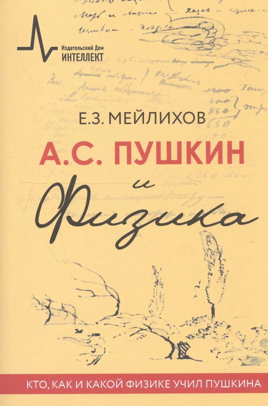Обложка книги "Евгений Мейлихов: А.С. Пушкин и Физика. Кто, как и какой физике учил Пушкина"