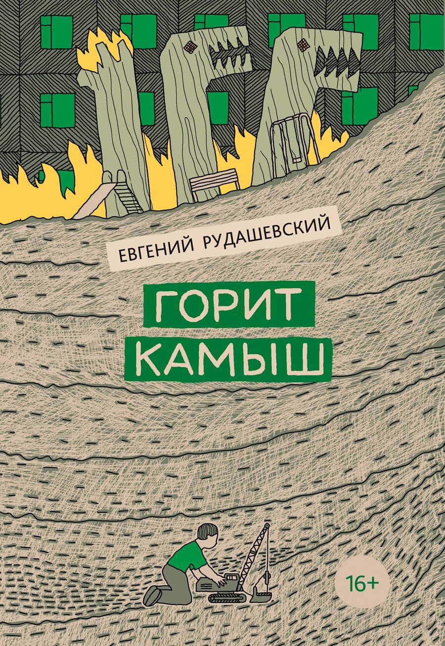 Обложка книги "Евгений Рудашевский: Горит камыш"