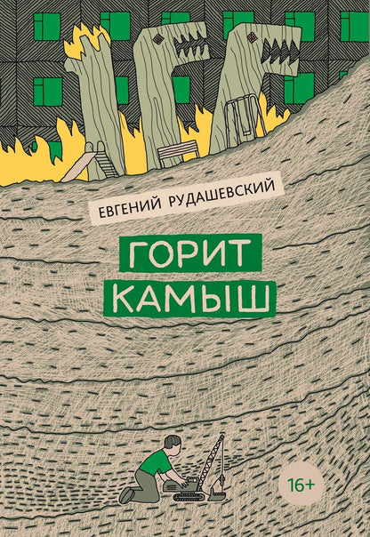 Обложка книги "Евгений Рудашевский: Горит камыш"
