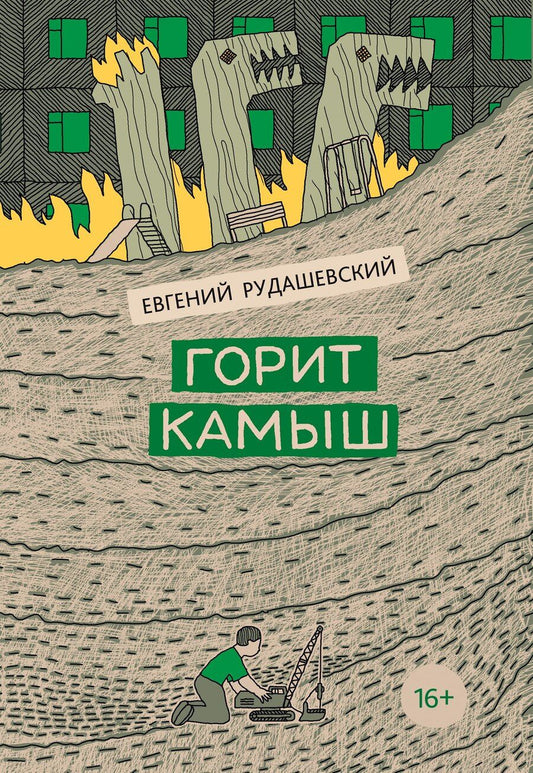 Обложка книги "Евгений Рудашевский: Горит камыш"