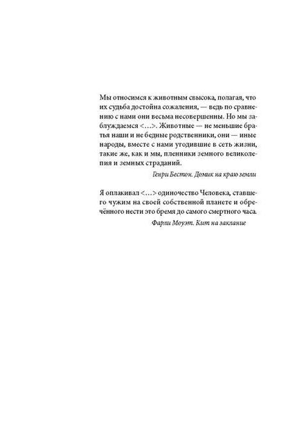 Фотография книги "Евгений Рудашевский: Ворон"