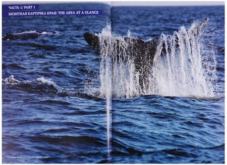 Фотография книги "Евгений Сазонов: Охотское море. Географическая энциклопедия"