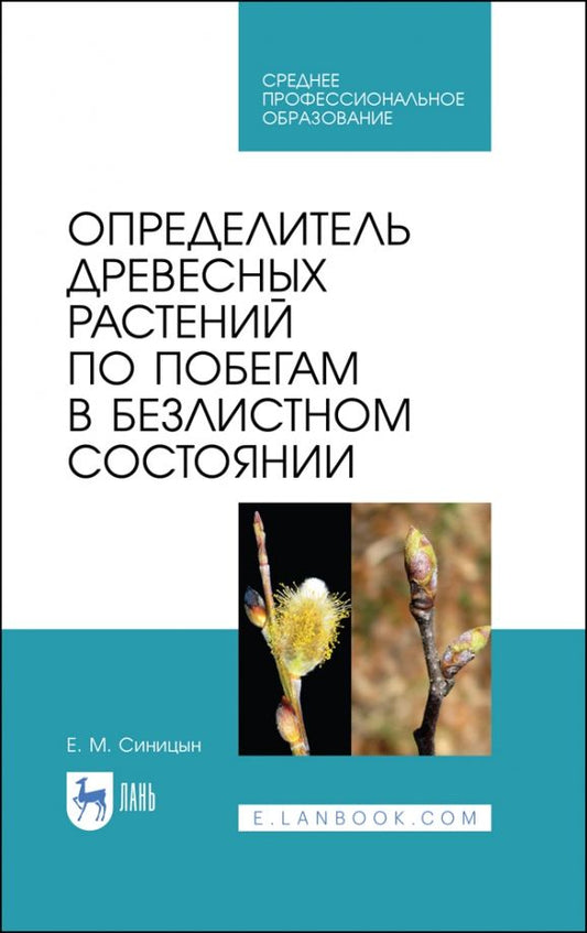 Обложка книги "Евгений Синицын: Определитель древесных растений по побегам в безлистном состоянии. Учебное пособие"