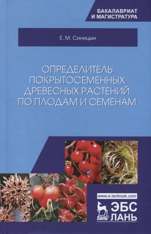 Обложка книги "Евгений Синицын: Определитель покрытосеменных древесных растений по плодам и семенам. Учебное пособие для вузов"