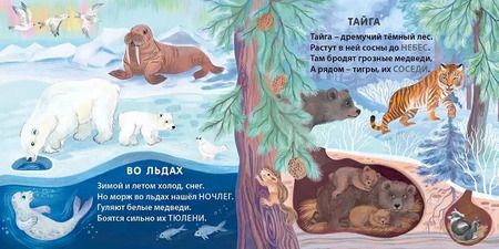 Фотография книги "Евгений Сосновский: Кто где живет. Загадки-рифмы"