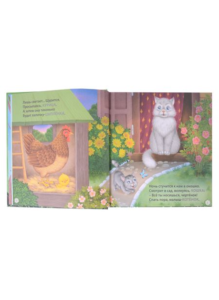 Фотография книги "Евгений Сосновский: Загадки-рифмы. Стихи"