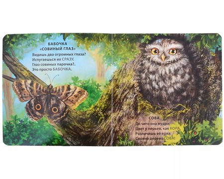 Фотография книги "Евгений Сосновский: Животные - невидимки. Загадки-рифмы"