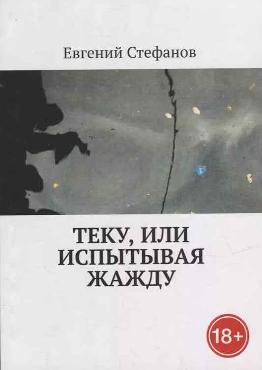 Обложка книги "Евгений Стефанов: Теку, или Испытывая жажду"