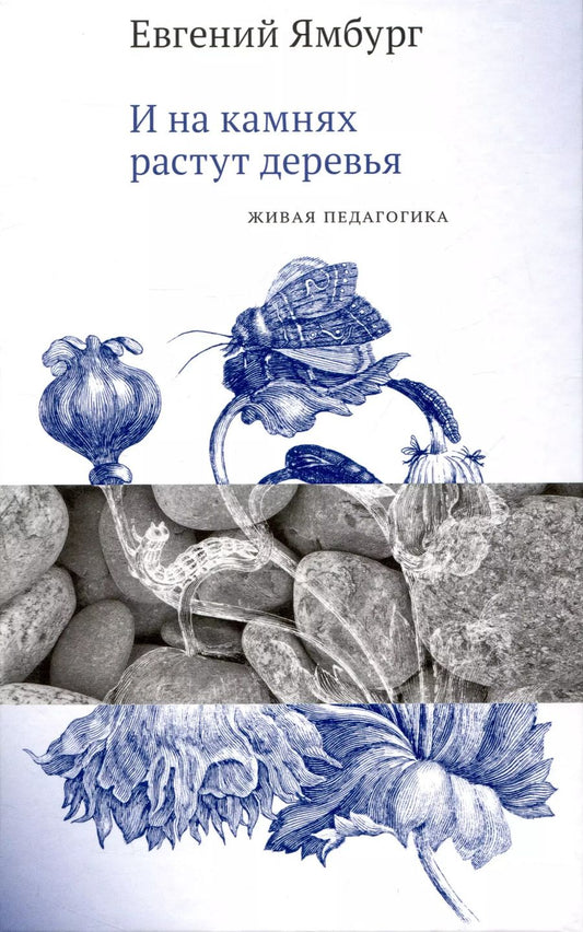 Обложка книги "Евгений Ямбург: И на камнях растут деревья. Живая педагогика"