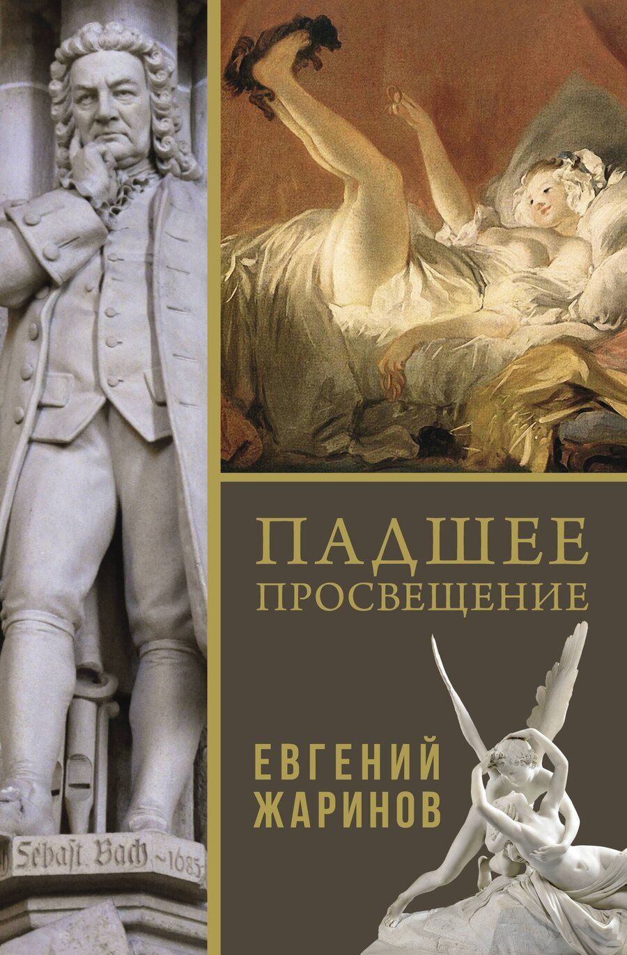 Обложка книги "Евгений Жаринов: Падшее просвещение"