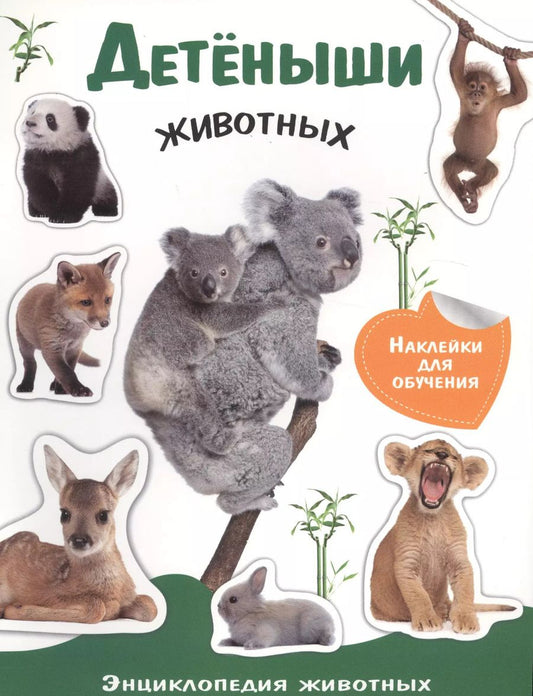 Обложка книги "Евгения Позина: Детеныши животных"