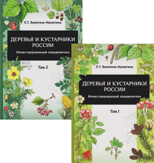 Обложка книги "Евгения Тимофеевна: Деревья и кустарники России: Иллюстрированный определитель. В двух томах"