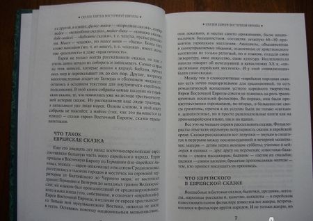 Фотография книги "Еврейские народные сказки, предания, былички, рассказы, анекдоты, собранные Е.С. Райзе"
