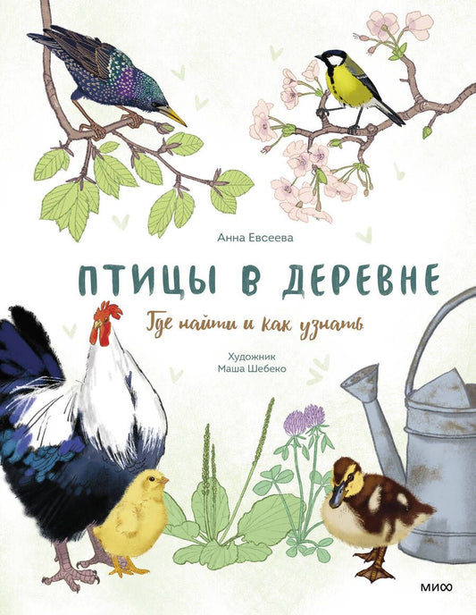 Обложка книги "Евсеева: Птицы в деревне. Где найти и как узнать"