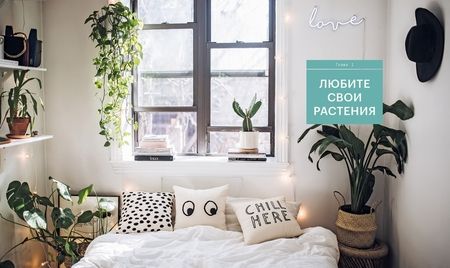 Фотография книги "Йосифович, Граф: Окей, джунгли! Счастливая жизнь с растениями"