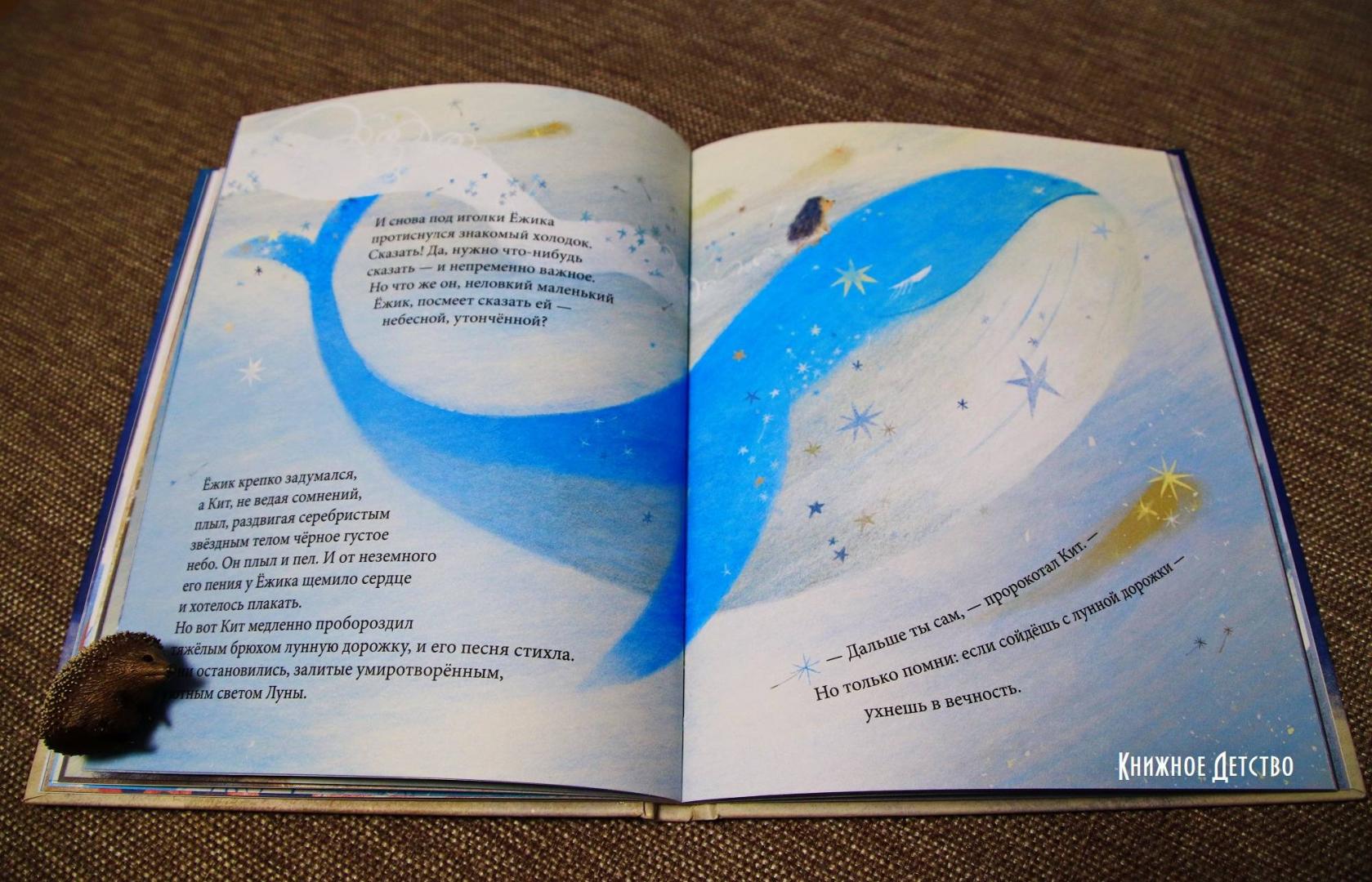 Фотография книги "Ёжик, который хотел обнять Луну"