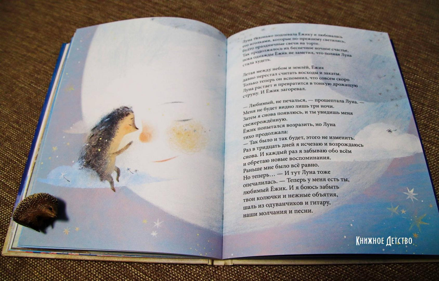 Фотография книги "Ёжик, который хотел обнять Луну"