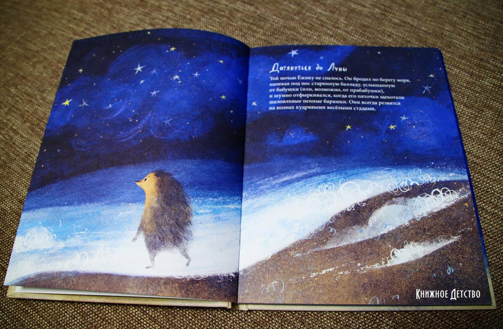 Фотография книги "Ёжик, который хотел обнять Луну"