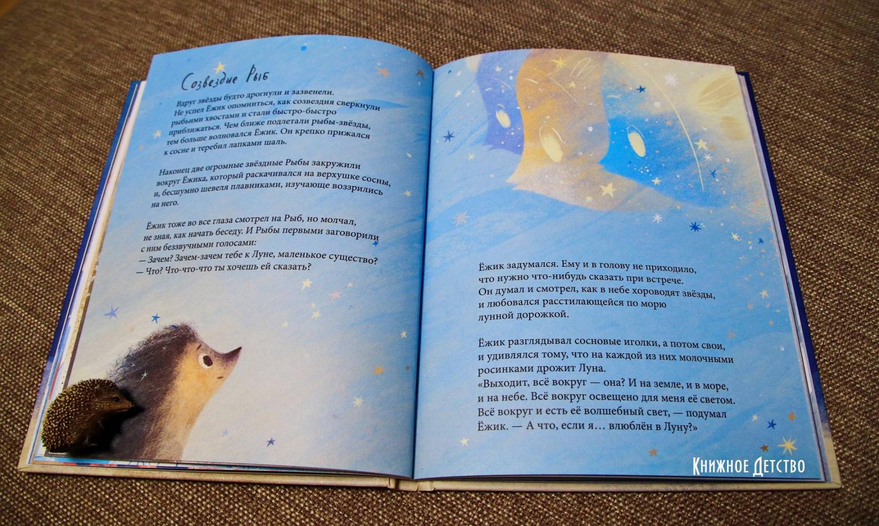 Фотография книги "Ёжик, который хотел обнять Луну"