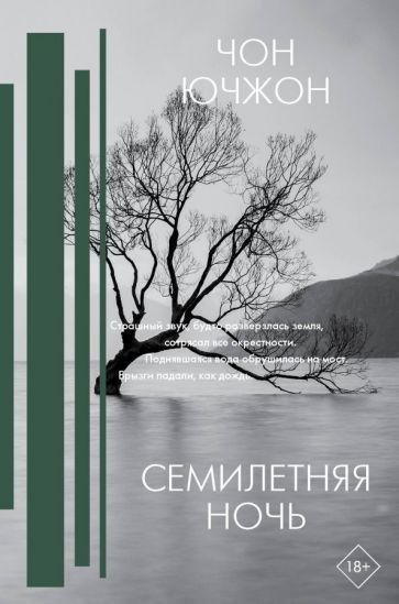 Обложка книги "Ючжон Чон: Семилетняя ночь"