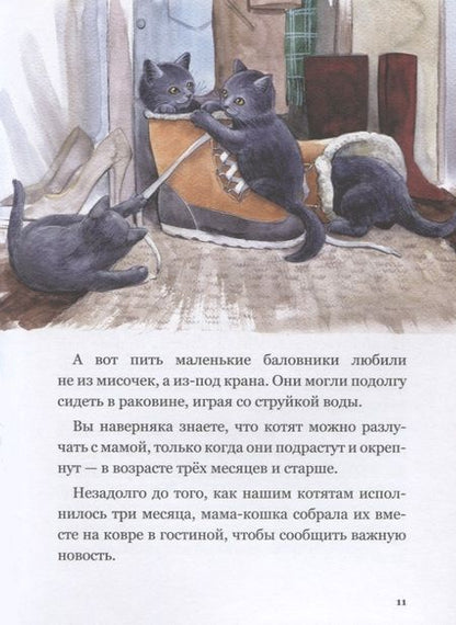 Фотография книги "Юлиана Протасова: Приключения кота Альфреда"