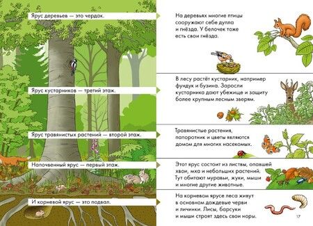 Фотография книги "Юлия Бёме: Комиксы с Конни. Лесные детективы"