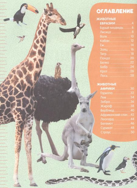 Фотография книги "Юлия Дорошенко: Большие и маленькие животные"