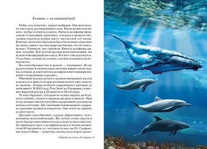 Фотография книги "Юлия Дунаева: Дельфины и киты"