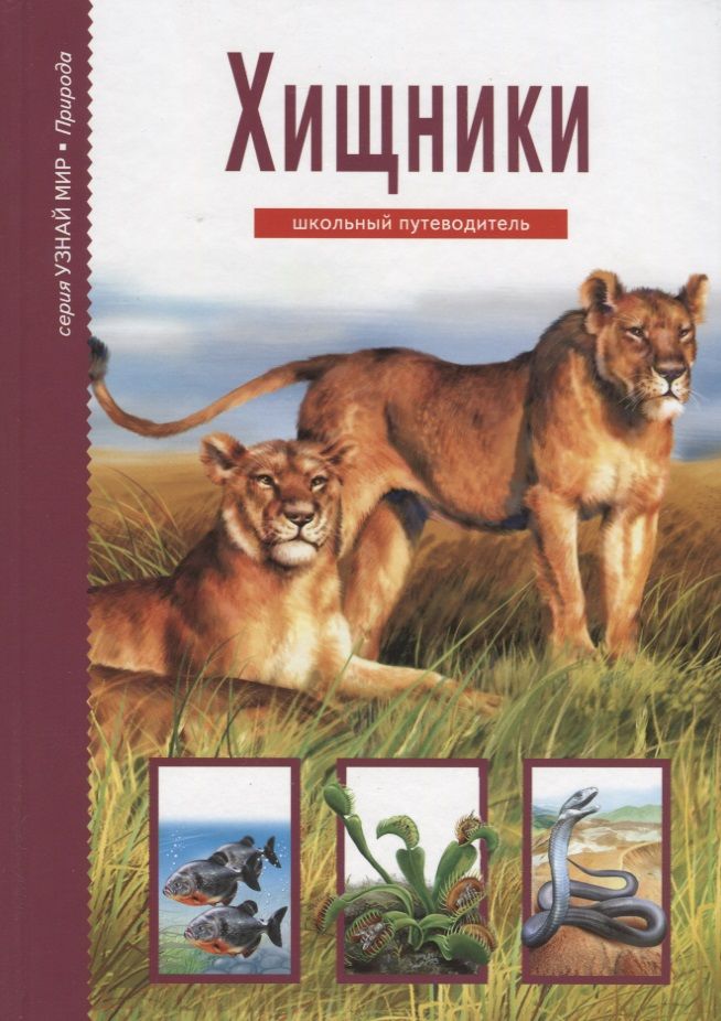 Обложка книги "Юлия Дунаева: Хищники. Школьный путеводитель"