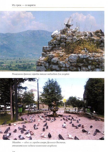 Фотография книги "Юлия Дунаева: Наши сизокрылые соседи"