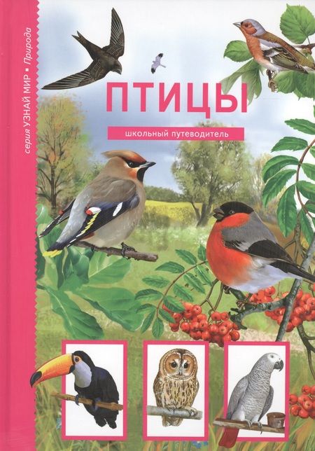 Фотография книги "Юлия Дунаева: Птицы"
