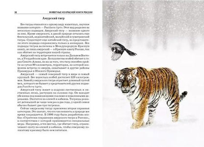Фотография книги "Юлия Дунаева: Животные из Красной книги России"