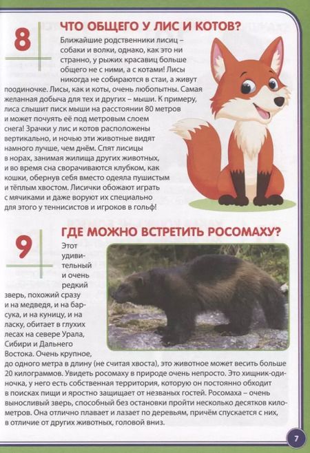 Фотография книги "Юлия Феданова: 123 вопроса – 123 ответа. Животные России"