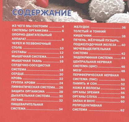 Фотография книги "Юлия Феданова: Тело человека. Детская энциклопедия"