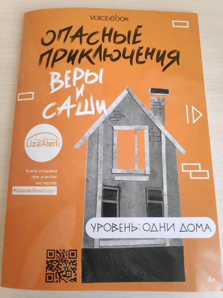 Фотография книги "Юлия Иванова: Опасные приключения Веры и Саши. Уровень: Одни дома"