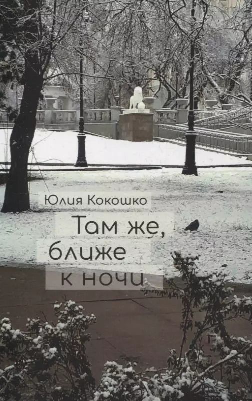Обложка книги "Юлия Кокошко: Там же, ближе к ночи"