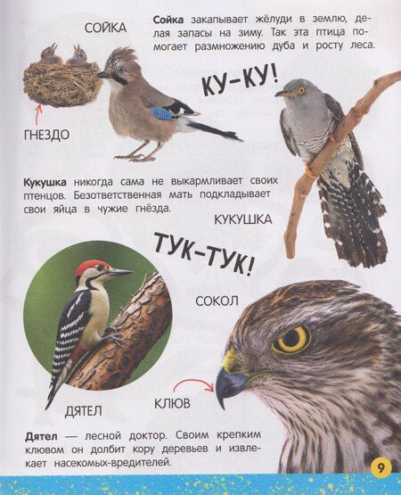 Фотография книги "Юлия Латушко: Моя большая книга о животных"