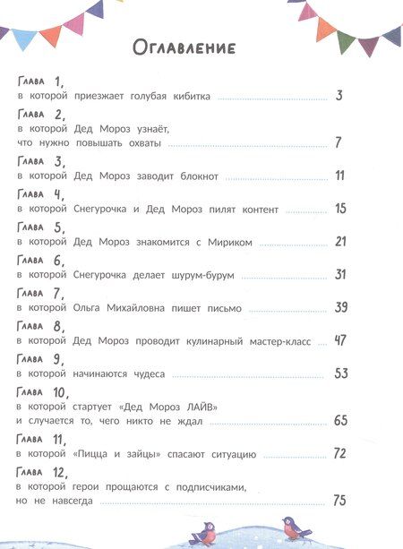 Фотография книги "Юлия Минина: Чудо-блогер Дед Мороз"