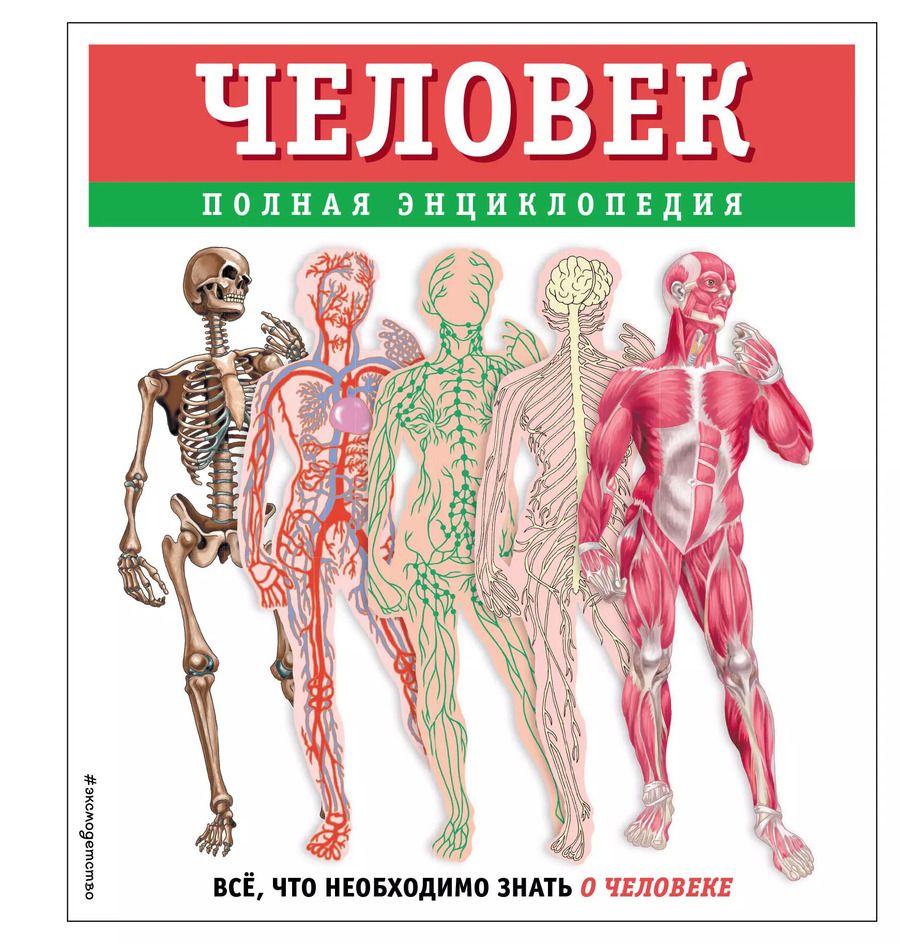 Обложка книги "Юлия Школьник: Человек. Полная энциклопедия"
