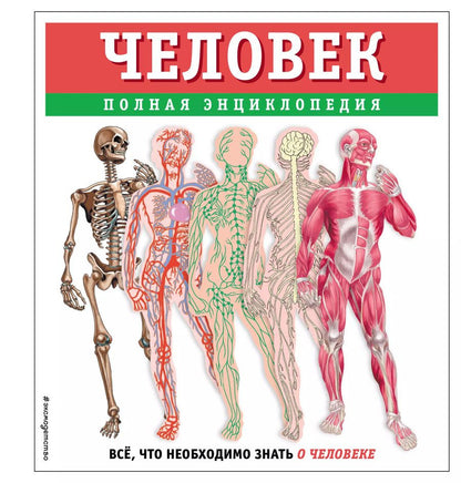 Обложка книги "Юлия Школьник: Человек. Полная энциклопедия"